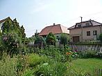 Třibřichy